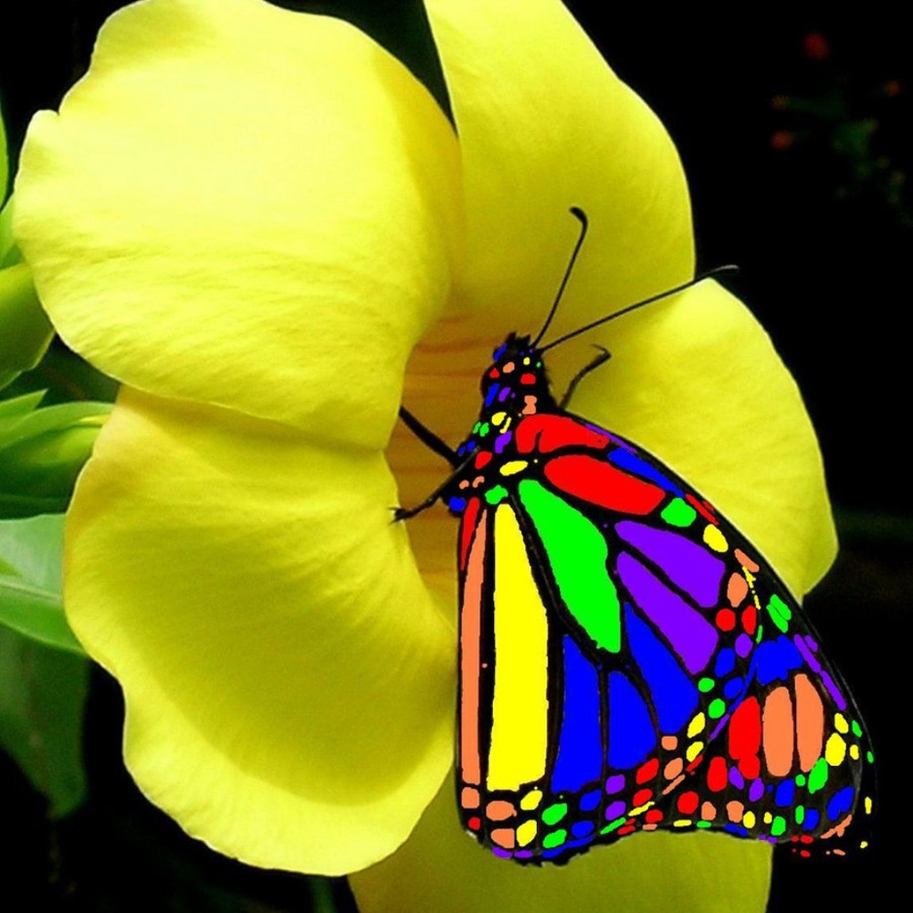 Meet your Posher, Lisa